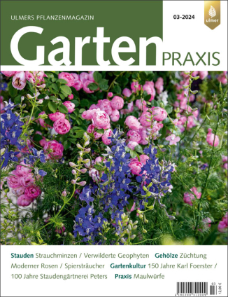 Garten-Praxis. Zeitschrift. Jahres-Abonnement. 
